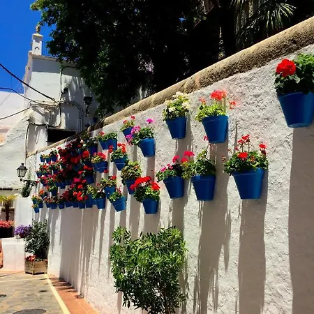 Brand New In The Location In